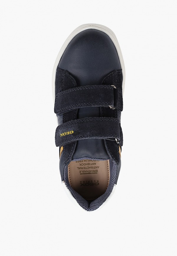 фото Кеды geox