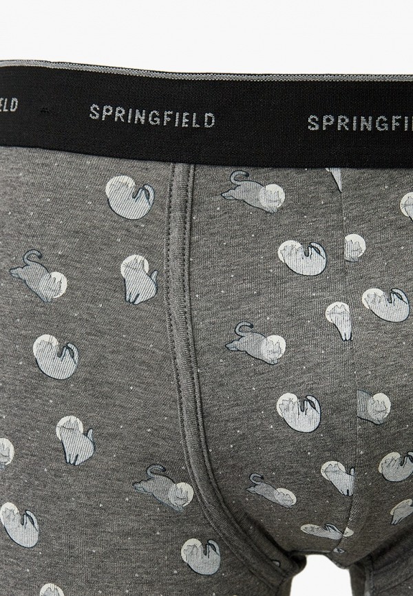 фото Трусы 5 шт. springfield