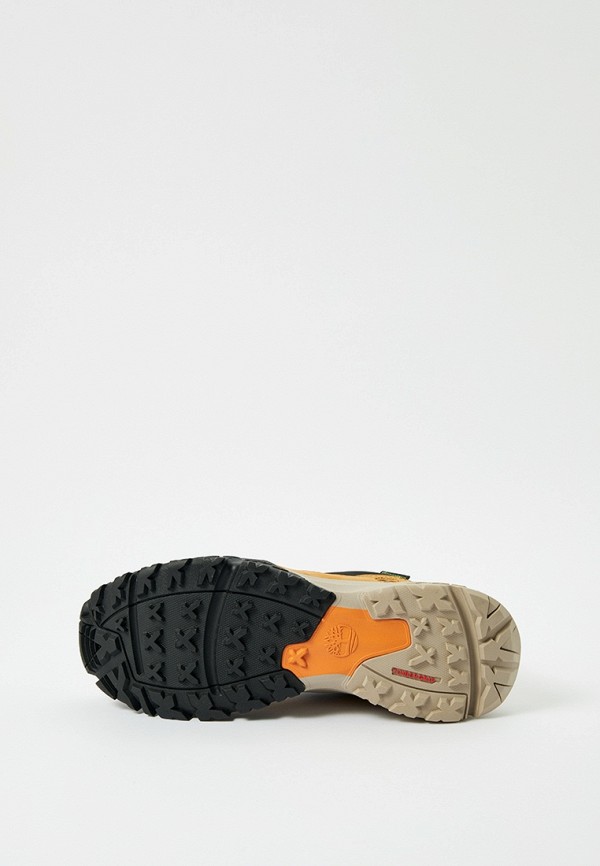 фото Кроссовки timberland