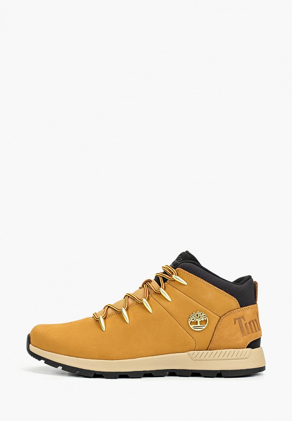 фото Ботинки трекинговые timberland