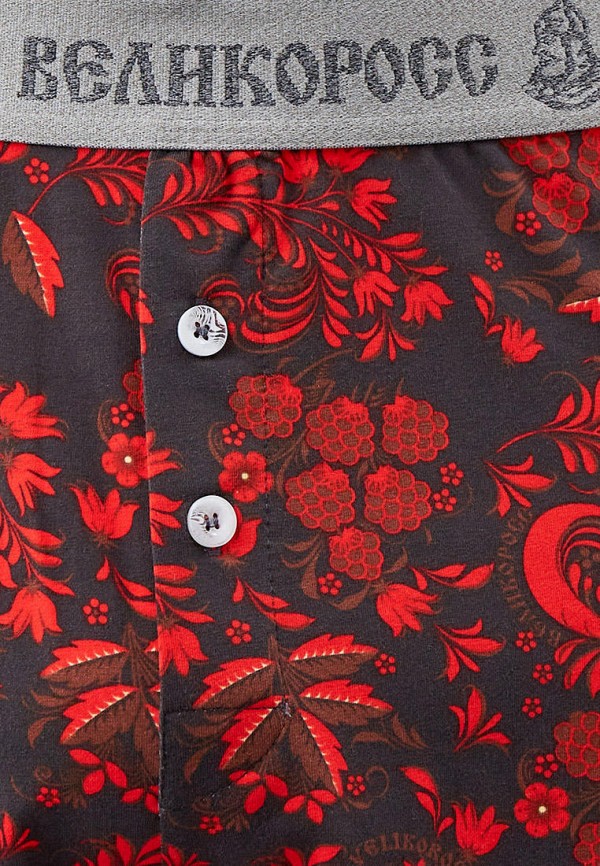 фото Трусы великоросс