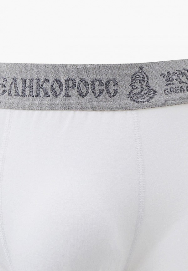фото Трусы великоросс
