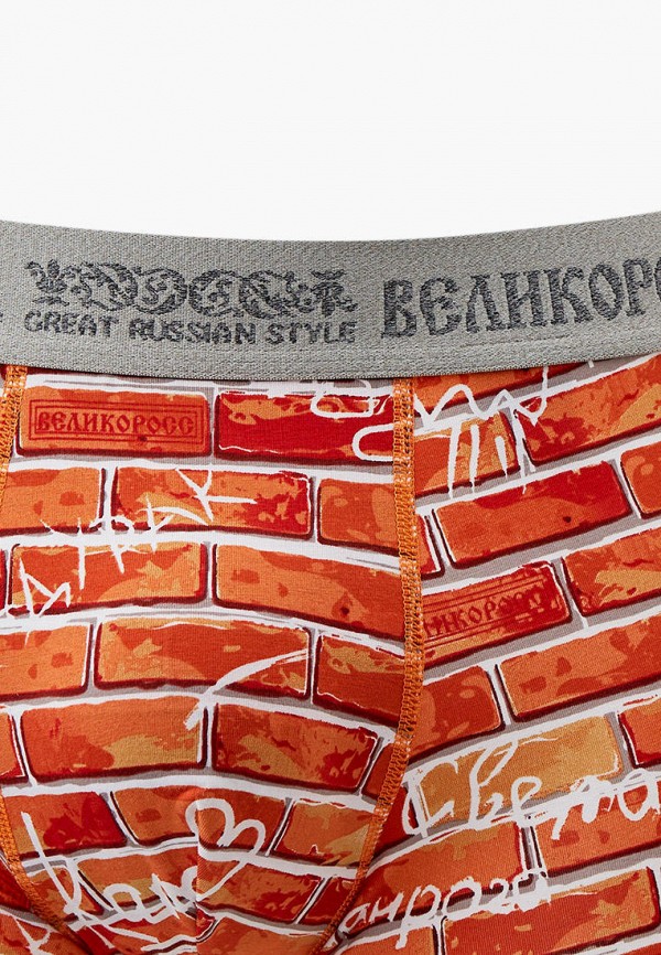 фото Трусы великоросс