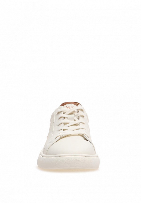 фото Кеды el tempo