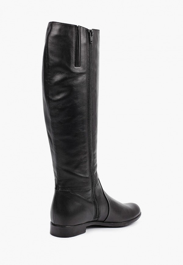 фото Сапоги argo