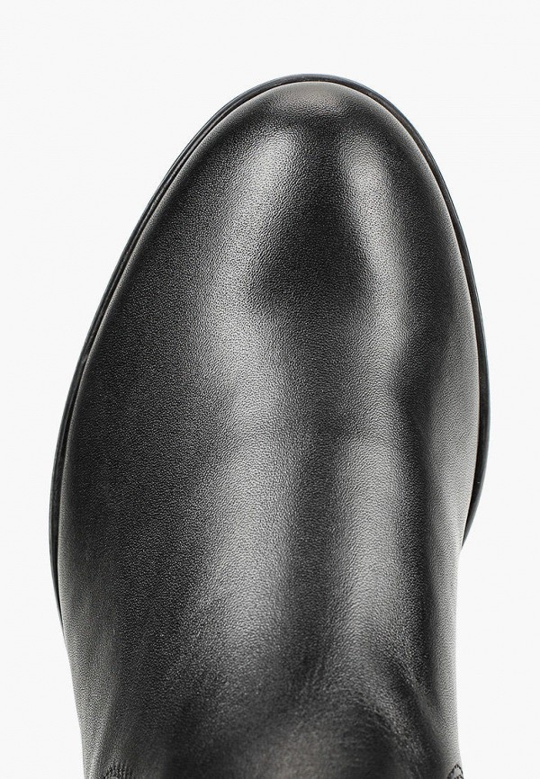 фото Сапоги argo