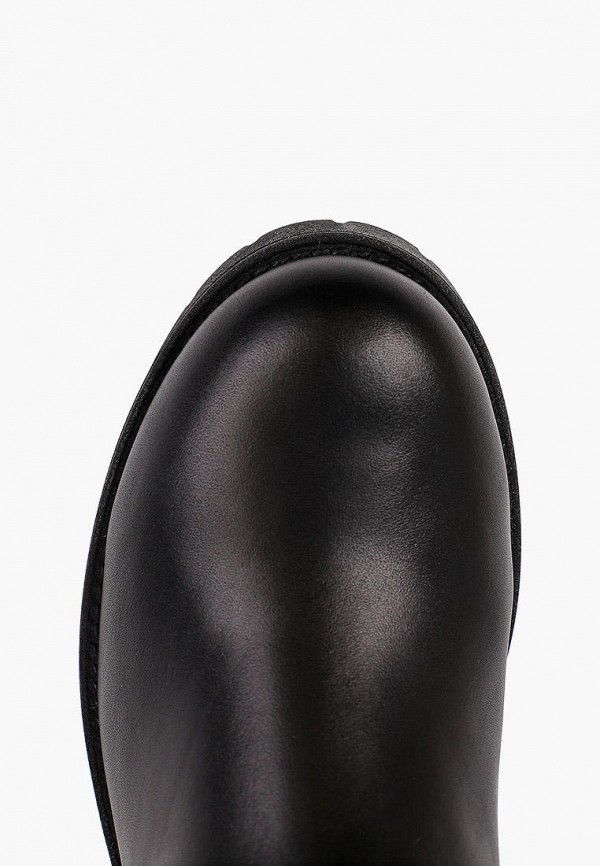 фото Сапоги argo