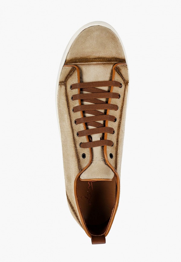 фото Кеды zampiere