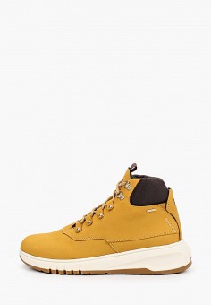 Ботинки, Geox, цвет: коричневый. Артикул: GE347AWKKQX5. Geox