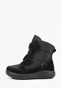 ecco jayden