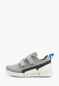 ecco online