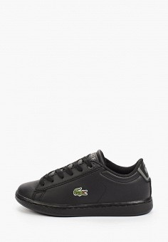 lacoste trainers size 13