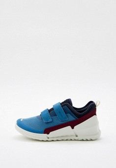 ecco 27