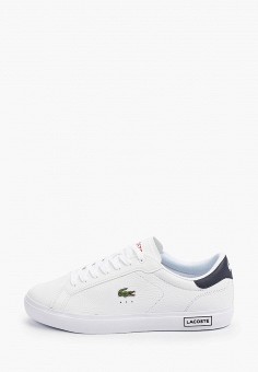 adidas lacoste