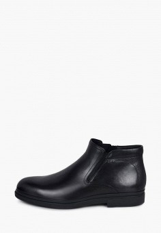 Ботинки, Pierre Cardin, цвет: черный. Артикул: MP002XM09J9Q. Обувь / Ботинки