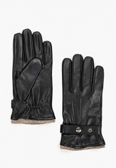 Перчатки, Eleganzza, цвет: черный. Артикул: MP002XM0MUXJ. Аксессуары / Перчатки и варежки