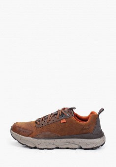 Кроссовки, Skechers, цвет: коричневый. Артикул: MP002XM0N65I. Обувь / Skechers