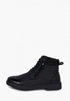 Ботинки, T.Taccardi, цвет: черный. Артикул: MP002XM0RFSI. Обувь / Ботинки / Низкие ботинки