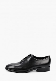 Туфли, Ecco, цвет: черный. Артикул: MP002XM1H076. Обувь / Туфли