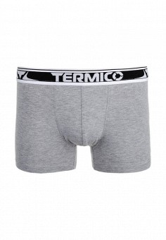 Трусы, Termico, цвет: серый. Артикул: MP002XM1HC8F. Termico