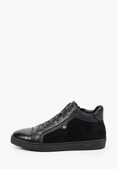 Ботинки, Basconi, цвет: черный. Артикул: MP002XM1HRAO. Обувь / Ботинки / Basconi