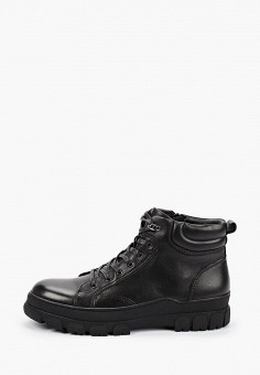 Ботинки, Basconi, цвет: черный. Артикул: MP002XM1HRB3. Обувь / Ботинки / Basconi
