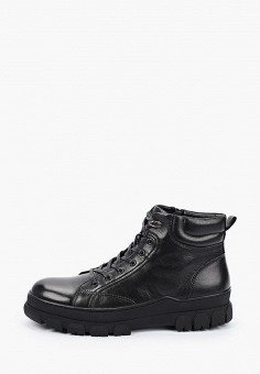 Ботинки, Basconi, цвет: черный. Артикул: MP002XM1HRB4. Обувь / Ботинки / Basconi
