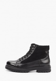 Ботинки, Basconi, цвет: черный. Артикул: MP002XM1HRDK. Обувь / Ботинки / Basconi