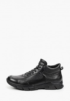 Ботинки, Basconi, цвет: черный. Артикул: MP002XM1HRDV. Обувь / Ботинки / Basconi