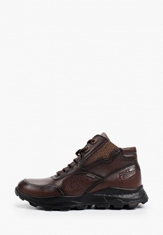 Ботинки, NexPero, цвет: коричневый. Артикул: MP002XM1RKQW. Обувь / Ботинки / NexPero