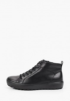 Ботинки, Ecco, цвет: черный. Артикул: MP002XM1RL9N. Обувь