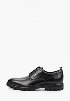 Ботинки, Ecco, цвет: черный. Артикул: MP002XM1RLA1. Обувь / Ecco