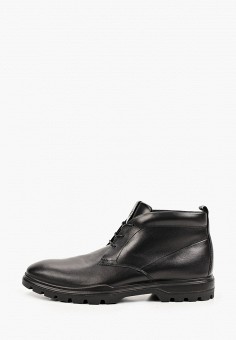 Ботинки, Ecco, цвет: черный. Артикул: MP002XM1RLA3. Обувь / Ecco