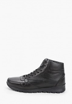 Ботинки, Quattrocomforto, цвет: черный. Артикул: MP002XM1ZNCL. Обувь / Ботинки / Высокие ботинки