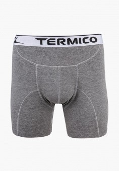 Трусы, Termico, цвет: серый. Артикул: MP002XM24310. Termico
