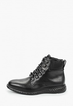 Ботинки, Ecco, цвет: черный. Артикул: MP002XM24YJN. Обувь / Ecco