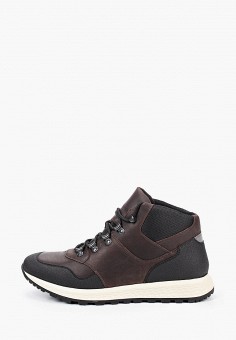 Ботинки, Ralf Ringer, цвет: коричневый. Артикул: MP002XM250JB. Обувь
