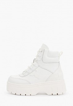 windsor smith high tops