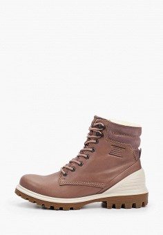 Ботинки, Ecco, цвет: коричневый. Артикул: MP002XW091PG. Обувь / Ботинки / Ecco