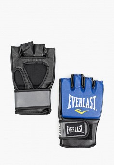 Перчатки боксерские, Everlast, цвет: синий. Артикул: RTLAAD439501. Everlast