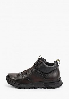 Ботинки, Flystep, цвет: коричневый. Артикул: RTLAAN130501. Обувь / Ботинки / Высокие ботинки / Flystep