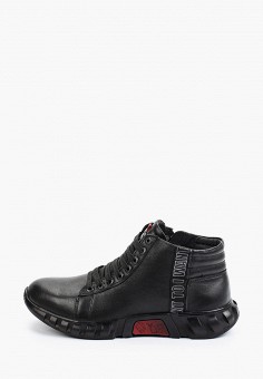 Ботинки, Flystep, цвет: черный. Артикул: RTLAAN130901. Обувь / Ботинки / Высокие ботинки / Flystep