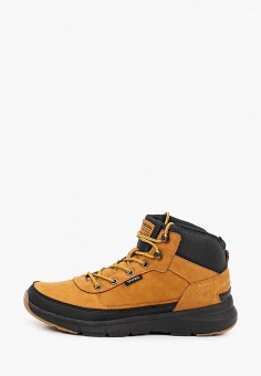 Ботинки, Patrol, цвет: коричневый. Артикул: RTLAAX606201. Обувь / Ботинки