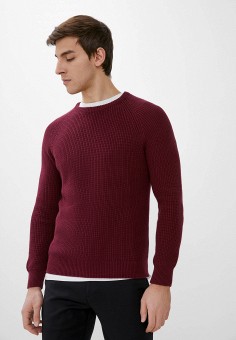 Джемпер, Giorgio Di Mare, цвет: фиолетовый. Артикул: RTLAAY276401. Одежда / Джемперы, свитеры и кардиганы / Джемперы и пуловеры