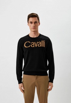 Джемпер, Roberto Cavalli, цвет: черный. Артикул: RTLAAZ507601. Roberto Cavalli