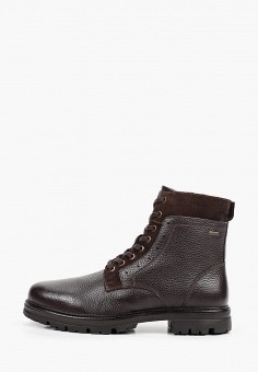 Ботинки, s.Oliver, цвет: коричневый. Артикул: RTLABA479501. Обувь / Ботинки / Высокие ботинки