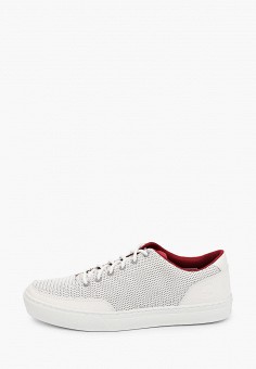 Кеды, Timberland, цвет: белый. Артикул: TI007AMMHSK9. Timberland