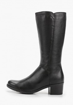 Сапоги, Юничел, цвет: черный. Артикул: YU003AWJXTJ6. Обувь / Сапоги / Сапоги