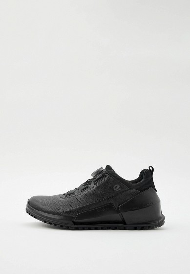 Ecco 47
