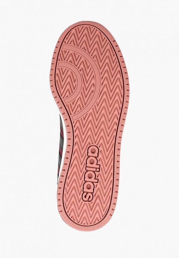 Adidas hoop cheap 2